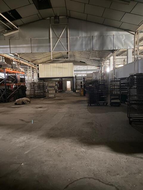 CARROS Y BANDEJAS_1.jpg